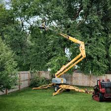 Best Hedge Trimming  in Zelienople, PA
