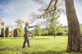 Best Soil Testing and Treatment  in Zelienople, PA
