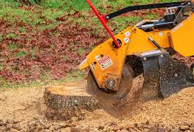 Best Utility Line Clearance  in Zelienople, PA