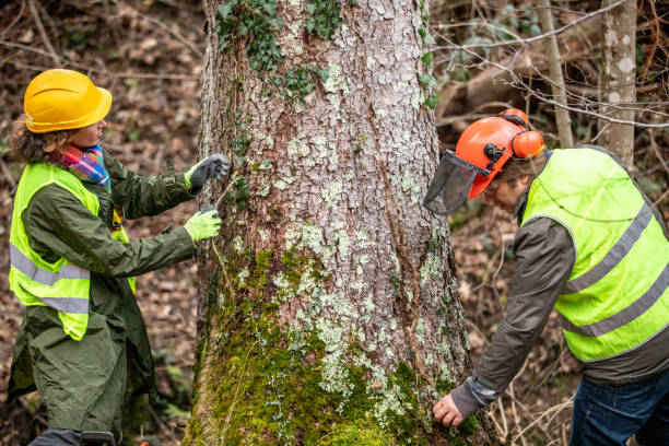 Best Arborist Consultation Services  in Zelienople, PA